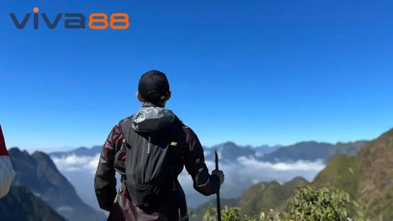 Chia sẻ về kế hoạch tương lai từ CEO Hồ Bảo Huy của Viva88